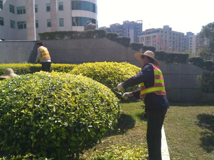 市政管養一體化
